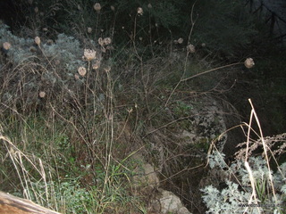stellaccio20-11-2016 16-55-08